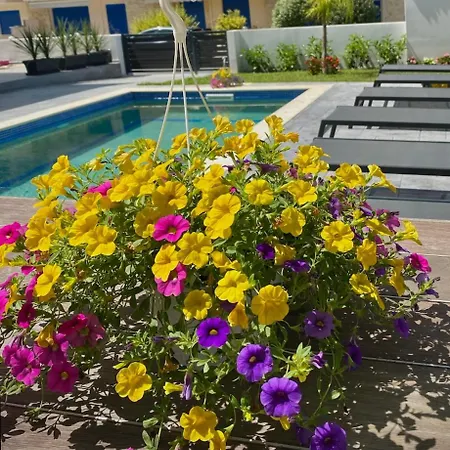 Apartament Levante Maisonette,halkidiki *