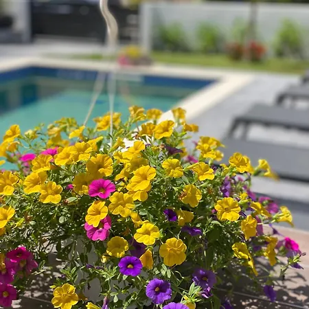 Levante Maisonette,halkidiki Kallithea (Chalkidiki)