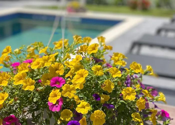 Levante Maisonette,halkidiki Kallithea (Chalkidiki)